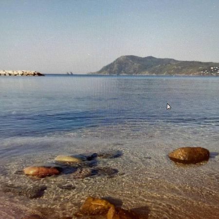 Pin Rollan Beach Saint-Mandrier-sur-Mer Exteriér fotografie