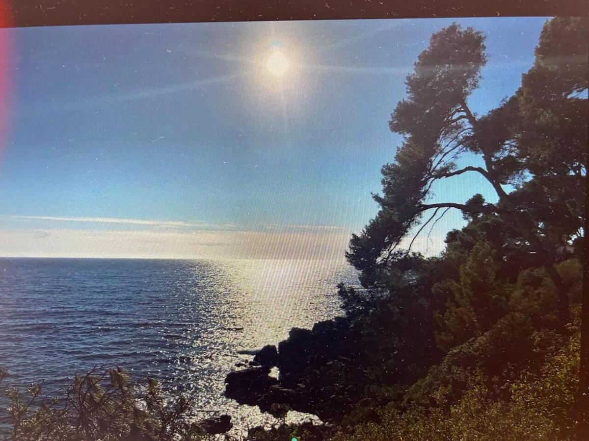 Pin Rollan Beach Saint-Mandrier-sur-Mer Exteriér fotografie